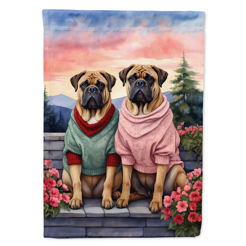 Double Sided 40'' H x 28'' W Polyester Valentine's Day House Flag