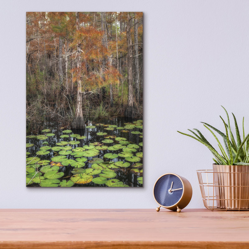 Epic Art 'Black Water 1'  by Danny Head Acrylic Glass Wall Art, 12" x 16"
