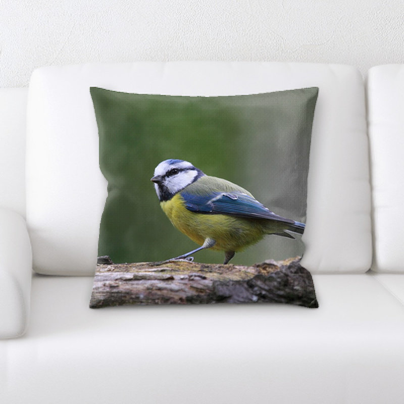 Coussin décoratif blue tit