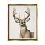 «Stupell Industries Elk Portrait Wildlife» par Grace Popp-91341333-91341328