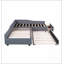 Upholstered Double Daybed With Trundle And Drawer-1578580071