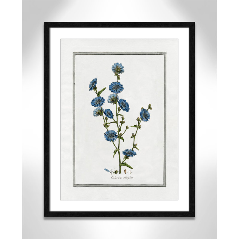 Colombe Soft Botanical I - Art encadré avec fond perdu, Cadre noir, L 17 po x H 23 po