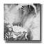 Art mural sur toile, "Nuage tourbillon 2" par Alicia Ludwig-1739034106