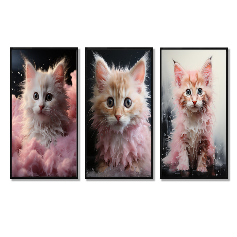 Bain pour chaton, Cadre flottant noir, H 32 po x l 48 po