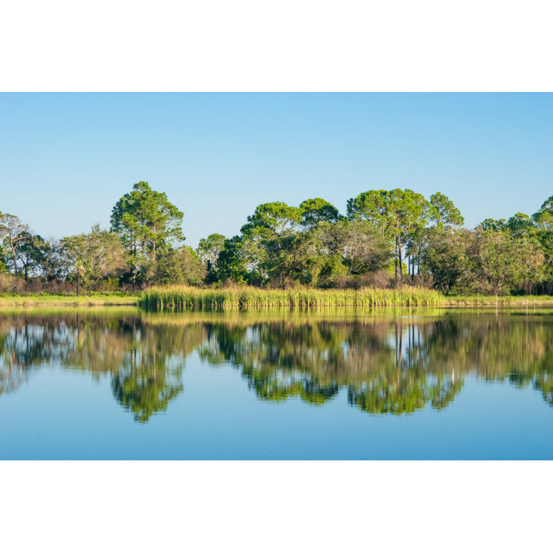 Pond Reflection - Wrapped Canvas Print, 20cm H x 30cm W