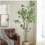 ARBRE À PIERIS 240CMTIFTIFS-954770911