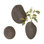 Ensemble de vases muraux 3 pièces Pebble