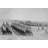 " Tsarist Troops Parade And Pass In Review In Formation Across Field "-16895714