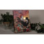 Toile de fond avec coq 8 x 6 Rooster Crow