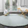 Winnett Shag Hand Tufted Performance Solid Color Rug