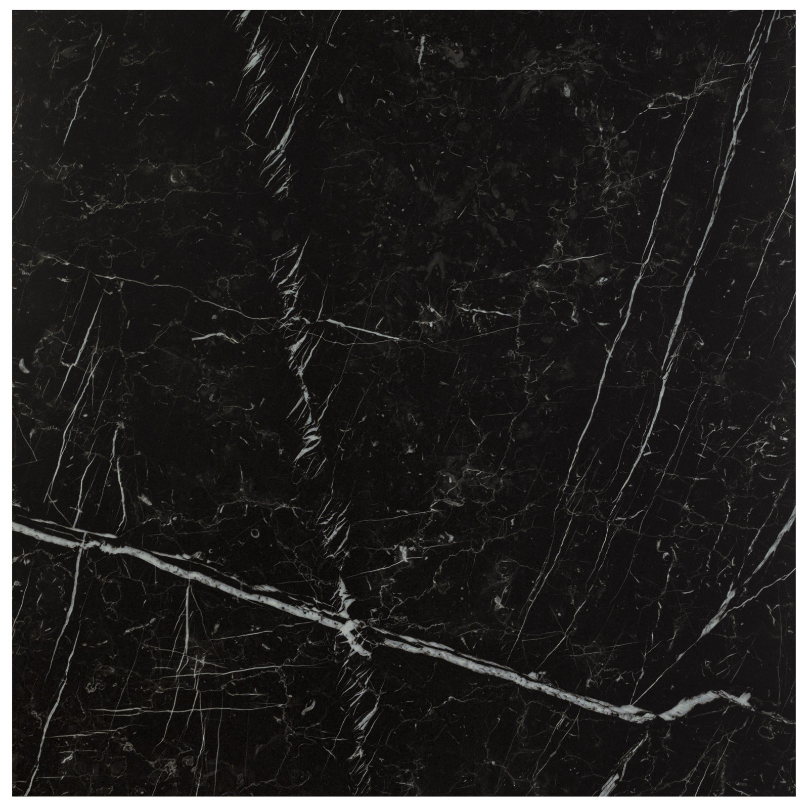 Palazza 24" x 24" Porcelain Marble Look Tile, Nocturne