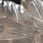 Aluminum Decorative Plate