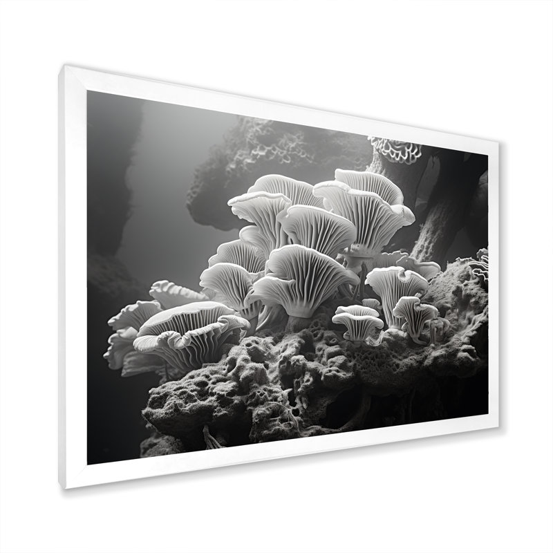 Anémone noire et blanche I sur toile, Cadre photo blanc, H 34 po x l 44 po x P 1,5 po