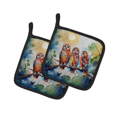 Paire de poignées Owls