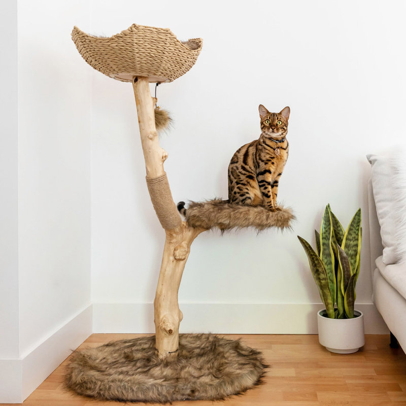 Arbre à chat 43 po Lina, Marron