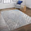 Tapis Sarko-1666432120
