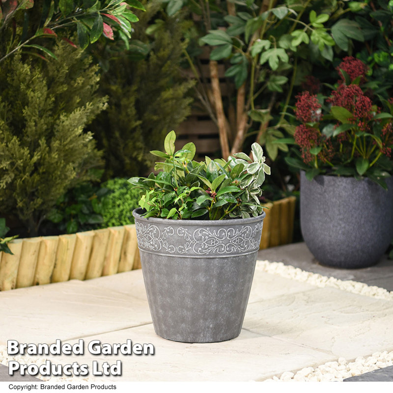 Parvathi Pot Planter