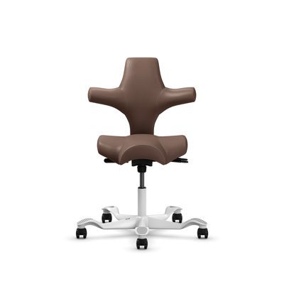 HÅG Capisco Adjustable Standard Height Chair 