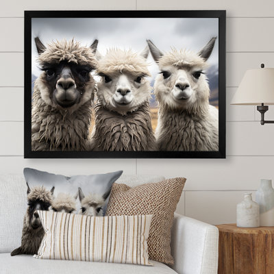 Alpacas, photographie de paysage monochrome encadrée sur toile