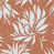 Corail
