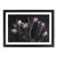 Tulip Flowers in Purple - Framed Print-55615103-55615104