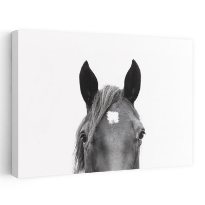 «Peeking Horse», art contemporain abstrait cheval