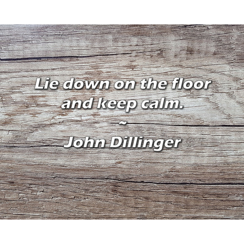 Citation de John Dillinger: Allongez-vous sur le sol et restez calme.