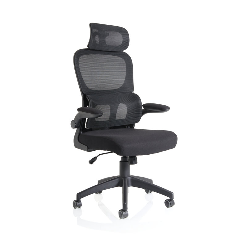 Aldarcy Polyester Blend Task Chair with Headrest, Black