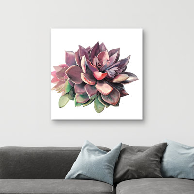 Succulent - 32"x32" art on canvas