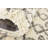 Walsenburg Oriental Indoor Rug-1723721830