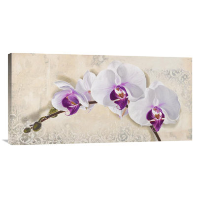 " Royal Orchid " Graphic Art Print