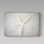 « white starfish », reproduction d’impression sur toile tendue-26856487