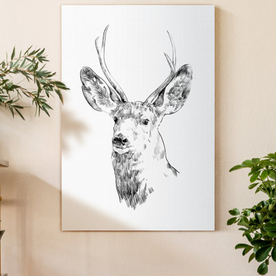 " Young Buck Sketch IV "