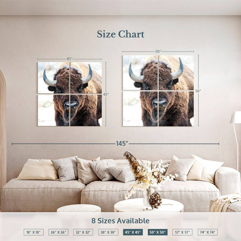 Brampt American Bison - A National Treasure