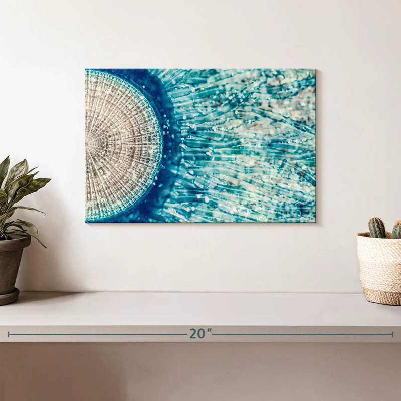 Crowle Jellyfish Details, 8" H x 12" W