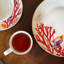 Ensemble de 2 tasses en porcelaine corail
