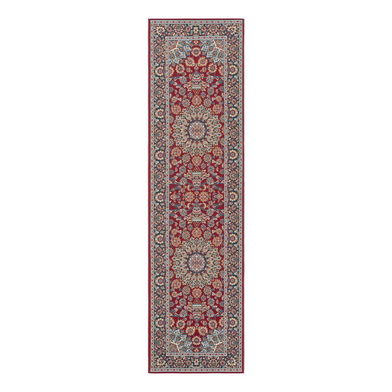 Indoor/Outdoor Traditional Area Rug, Runner 2'7" x 10'
