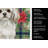 White Tibetan Spaniel Christmas PoinsettIas Kitchen Towel-2080583742