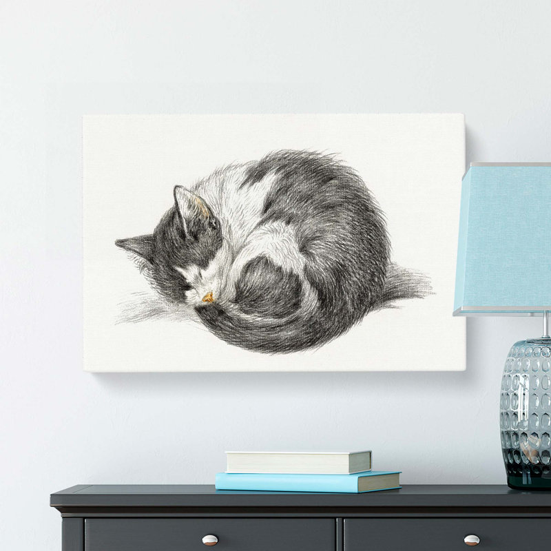 A Curled Cat by Jean Bernard - Wrapped Canvas, 35cm H x 50cm W x 3cm D