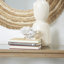 Cole And Grey Polystone Small Textured Coral Sculpture With Clear Acrylic Base