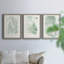 Verdure Ferns IV - ensemble de 3 peintures sur toile encadrées-1874670306-1874670305