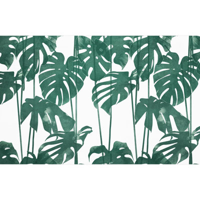 Feuille verte Monstera