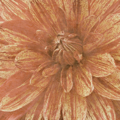 Wall Flower IX 1 Piece Wrapped Canvas Wall Art