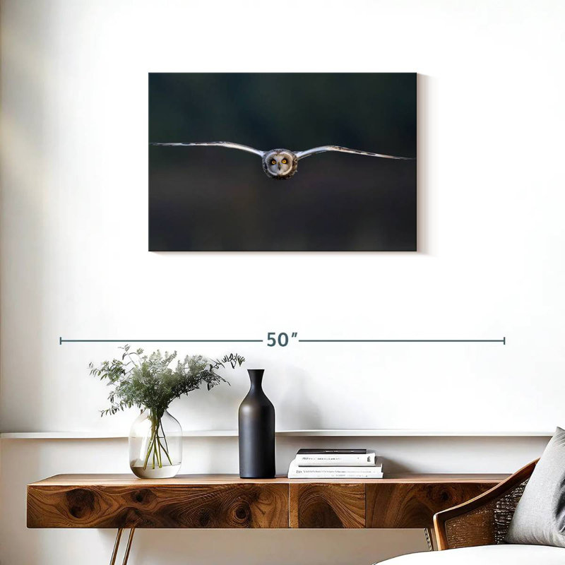 Brampt Owl Mid Air, 20" H x 30" W