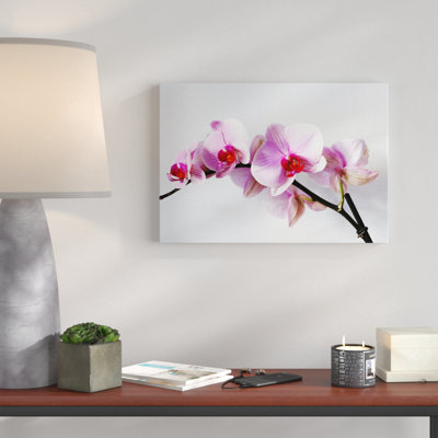Flower Pink Orchid - Wrapped Canvas