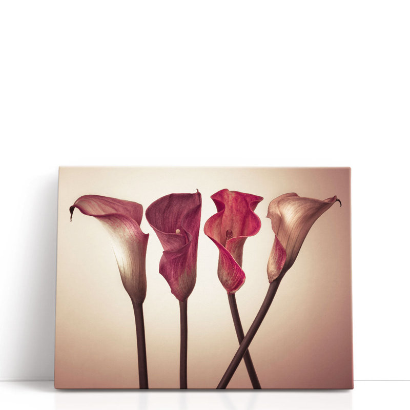 «Four Calla Lilies 3», reproduction d'art sur toile, H 18 po x l 24 po