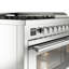 ILVE ProfessionalPlus II 48 Dual Fuel Range, knobs-2040731066-2040731009