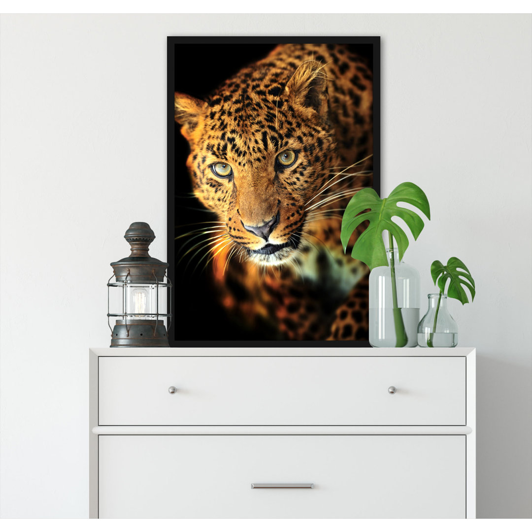 Gerahmtes Poster Graceful Leopard