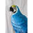 Giant Blue and White Parrot Standing on A Tree Bronze Statue 30" x 24" x 66"H