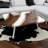 Dozza Coffee Table